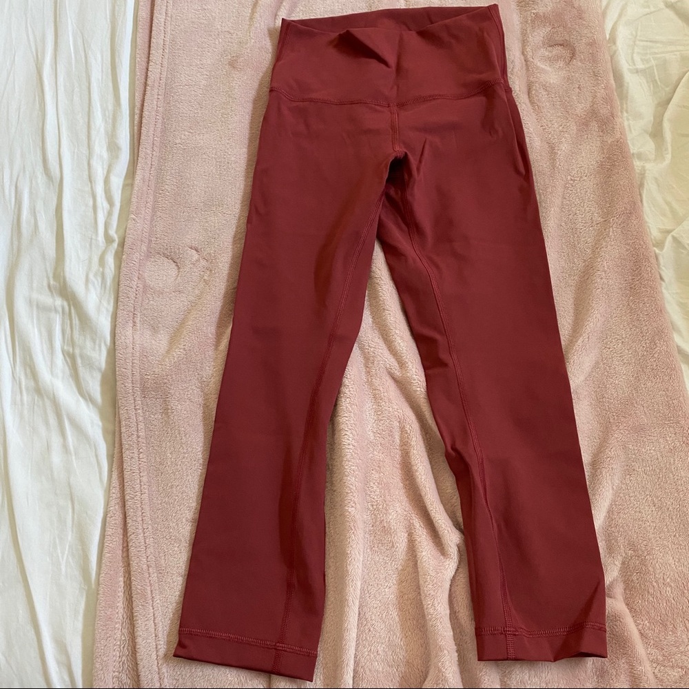 Wunder Under crops in Chianti